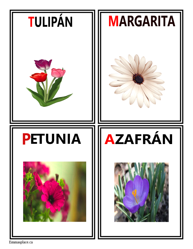 tarjeta educativa flores 1