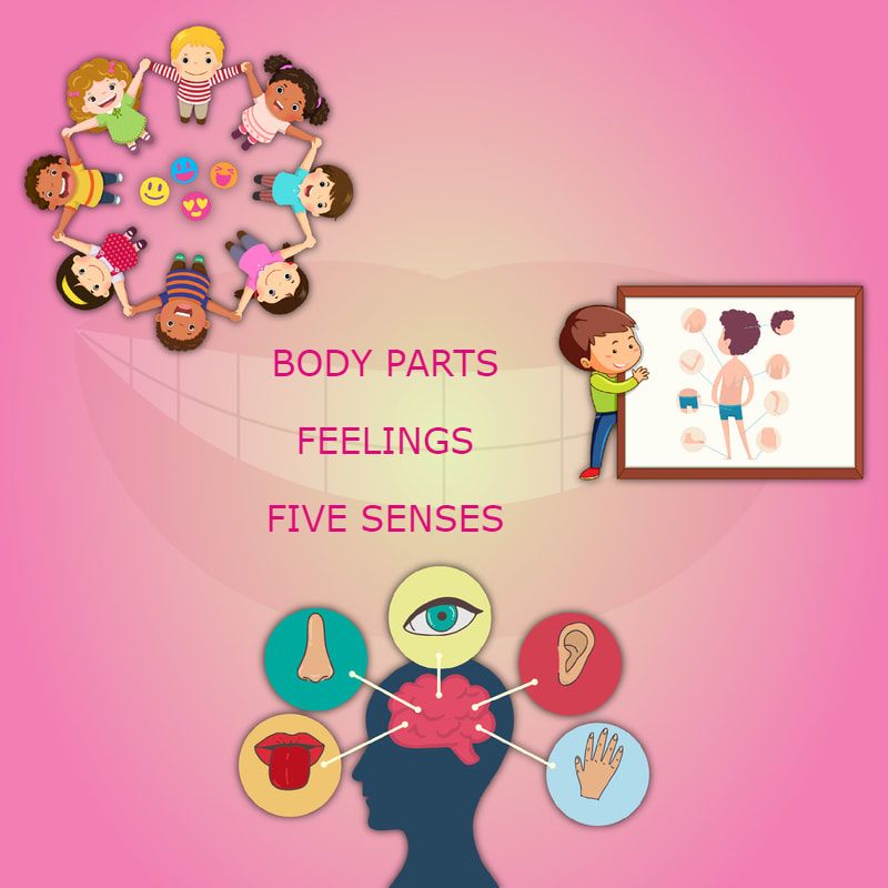 Learn about the body, the five senses and our feelings