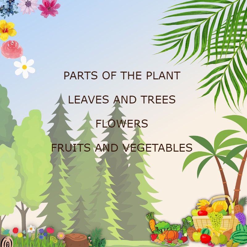 Parts of the plant, leaves, trees, fruits, vegetables and flowers