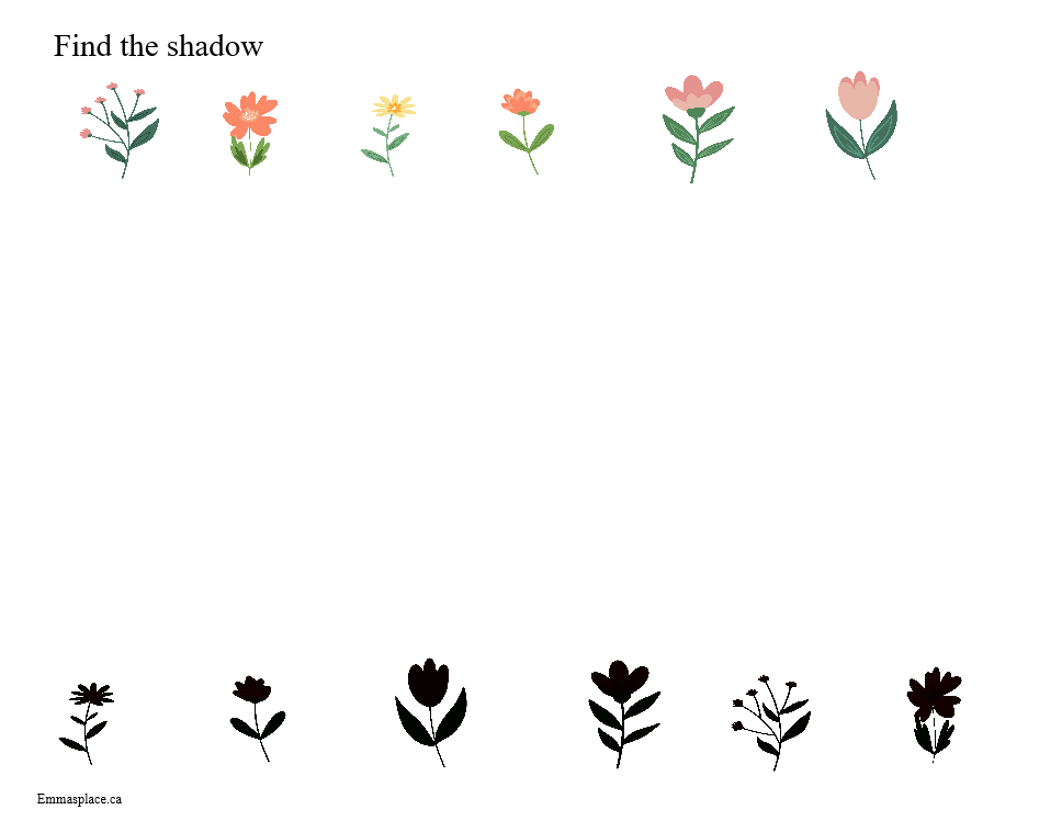 Find the shadow Flowers